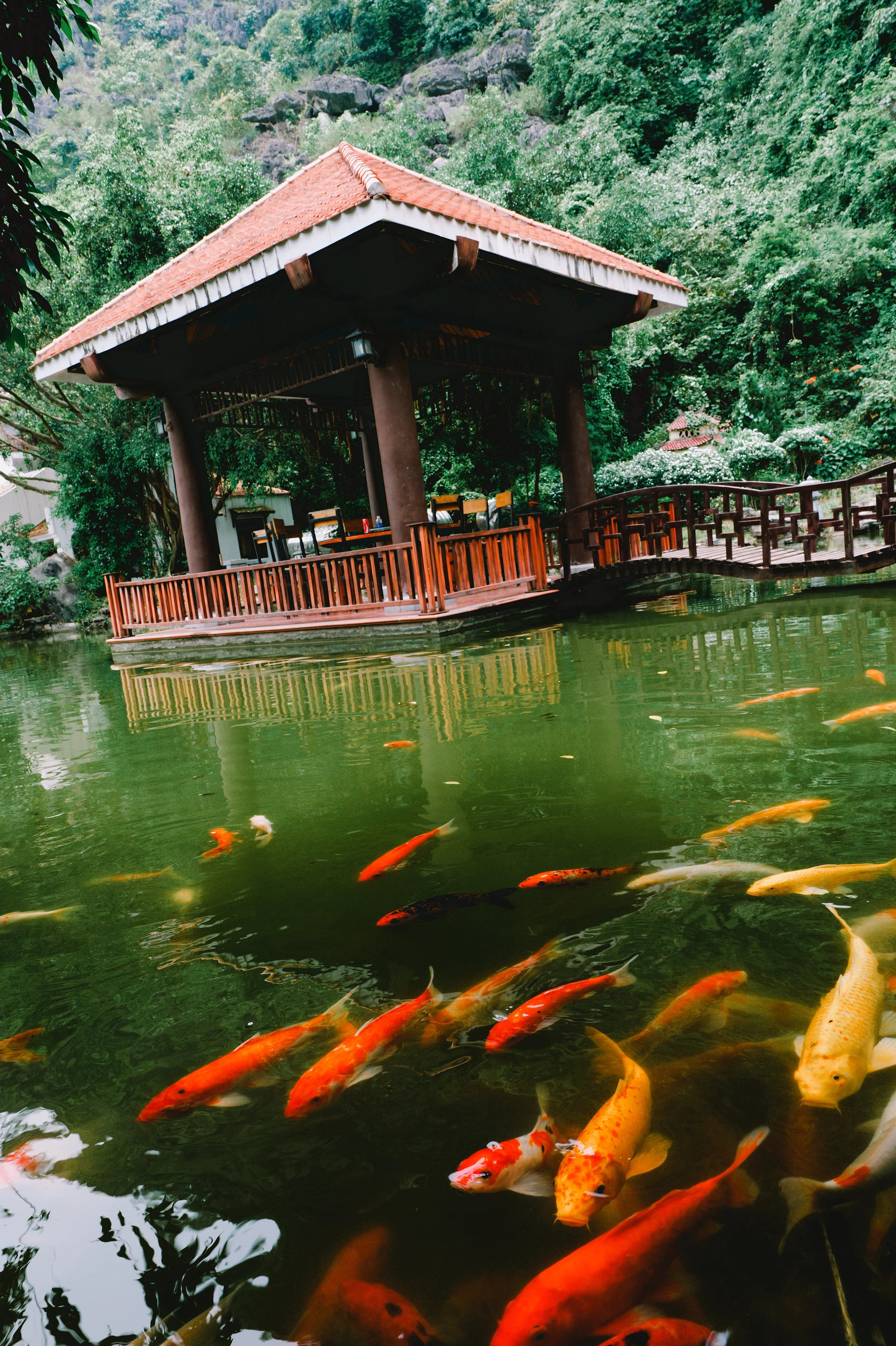 翠シリーズの写真 29