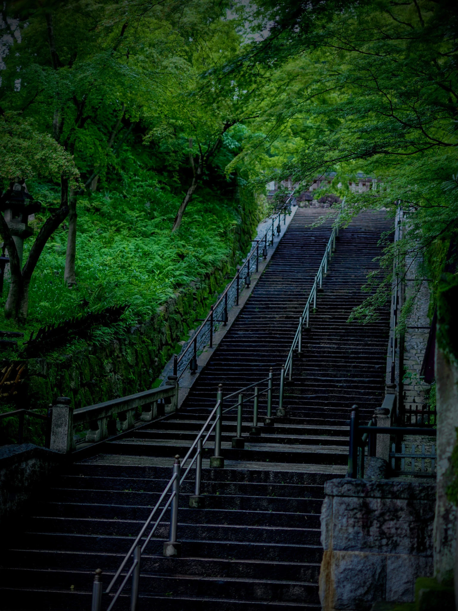 翠 シリーズの写真 7