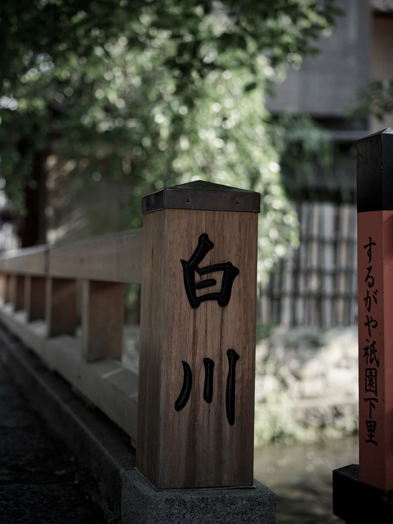 翠 シリーズの写真 9