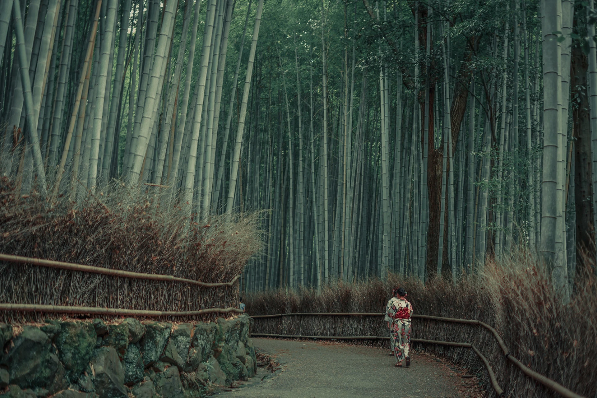 翠 シリーズの写真 13