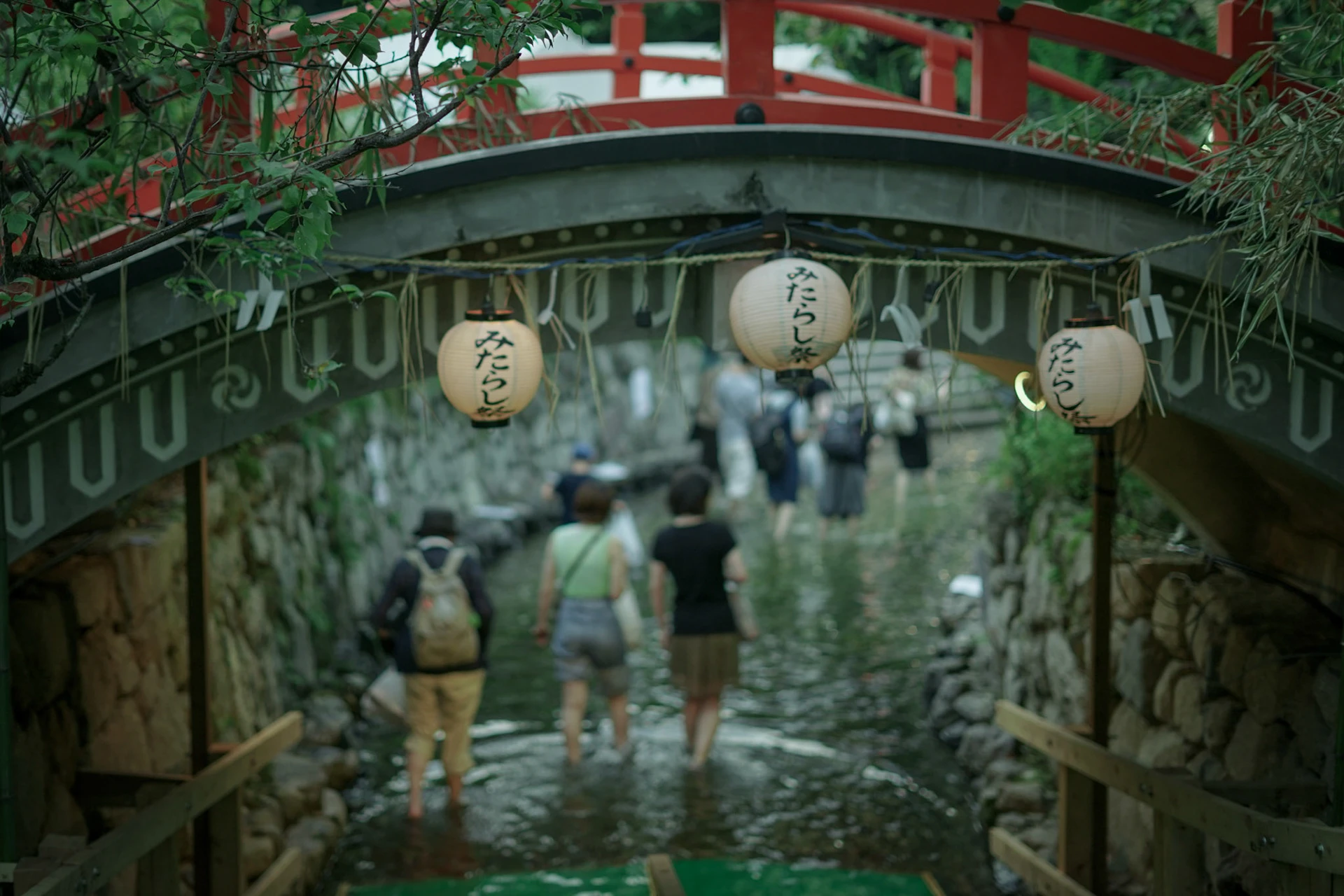 翠 シリーズの写真 15