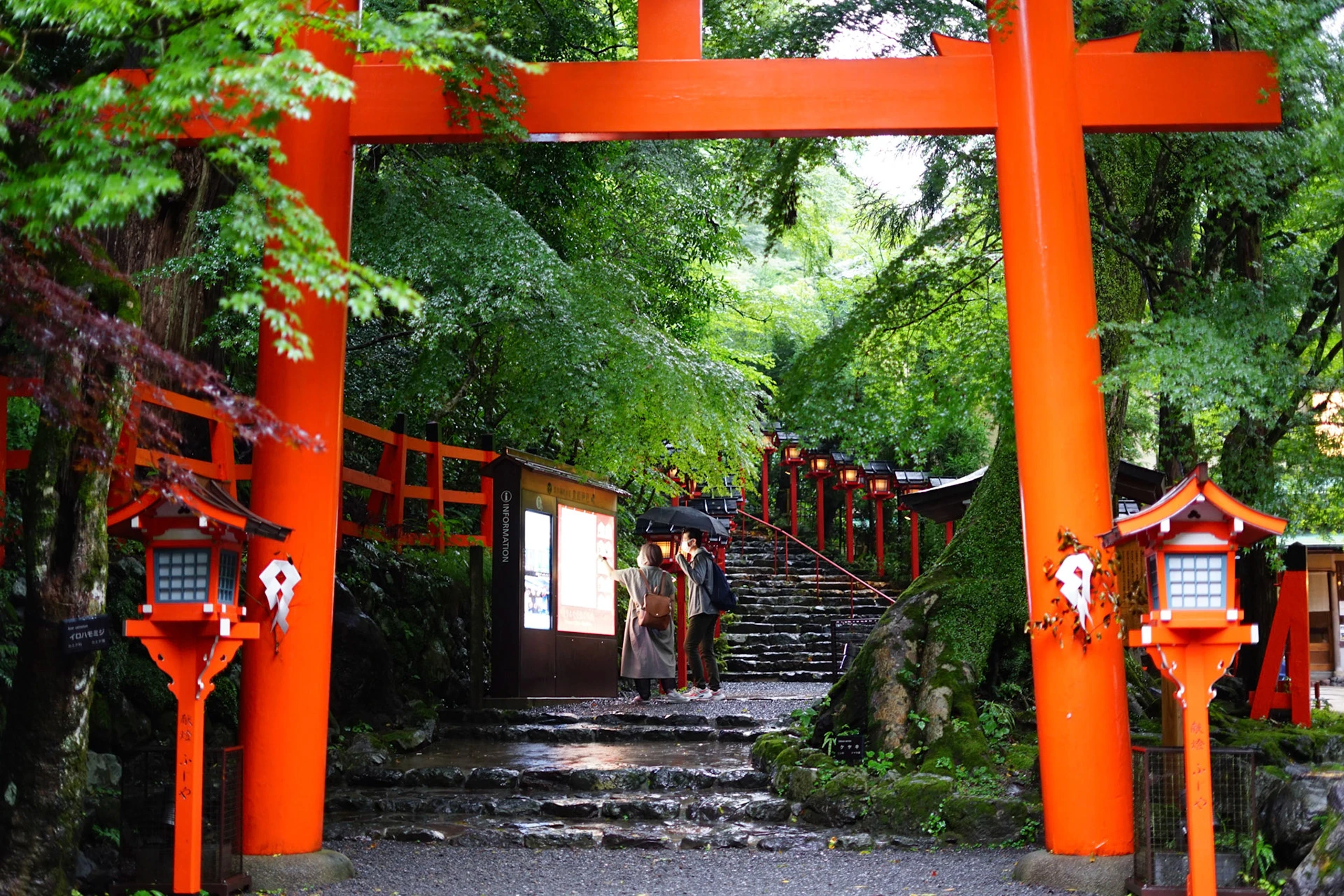 翠 シリーズの写真 19