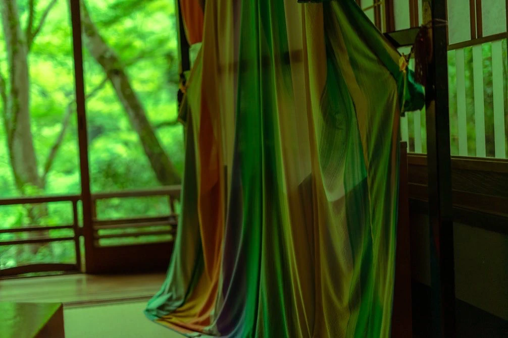 翠 シリーズの写真 25