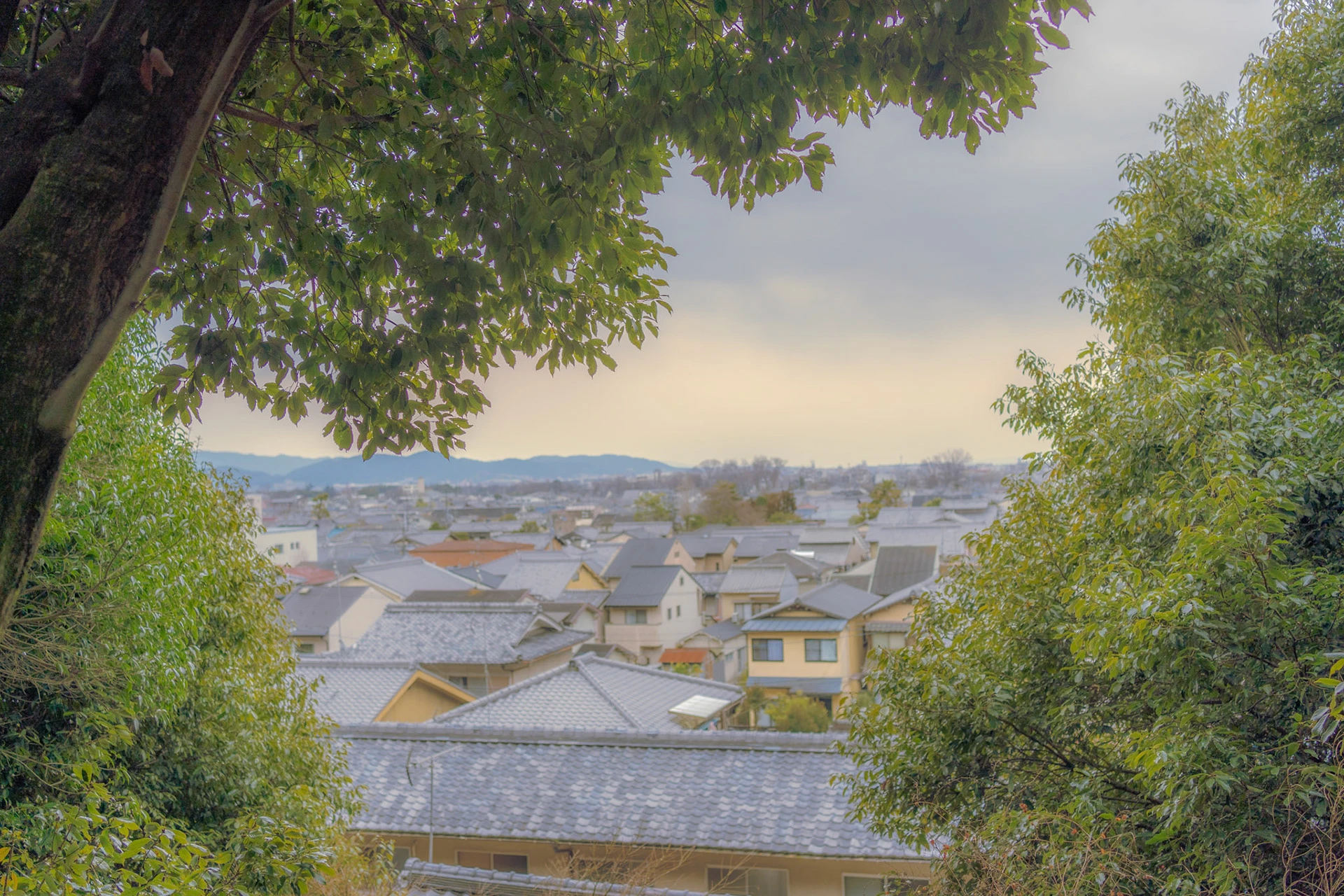 翠 シリーズの写真 31
