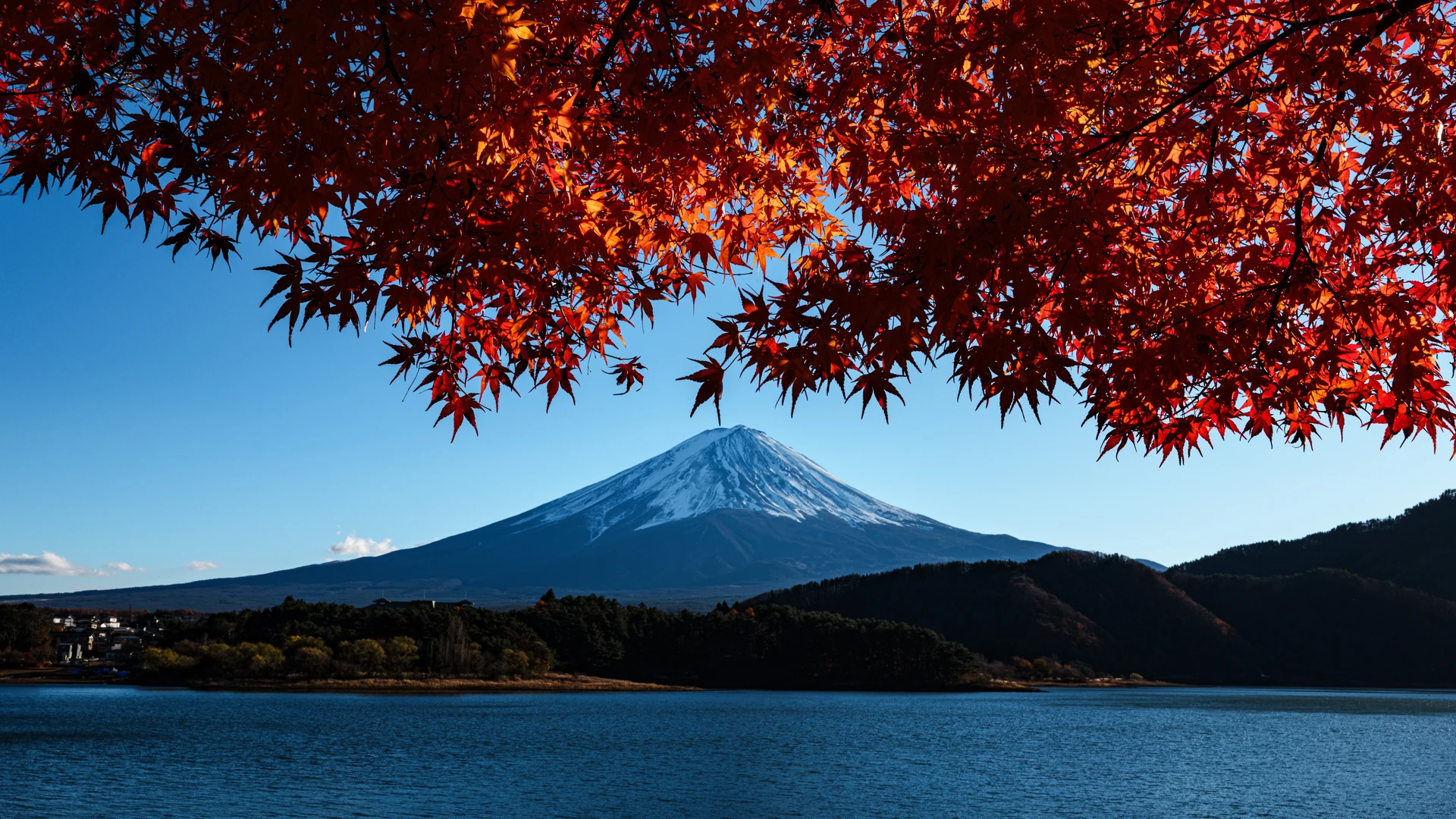 赤い紅葉越しに見える雪を頂いた富士山と青い湖